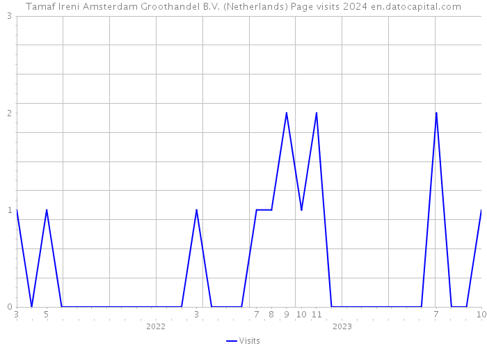 Tamaf Ireni Amsterdam Groothandel B.V. (Netherlands) Page visits 2024 