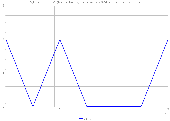 SJL Holding B.V. (Netherlands) Page visits 2024 