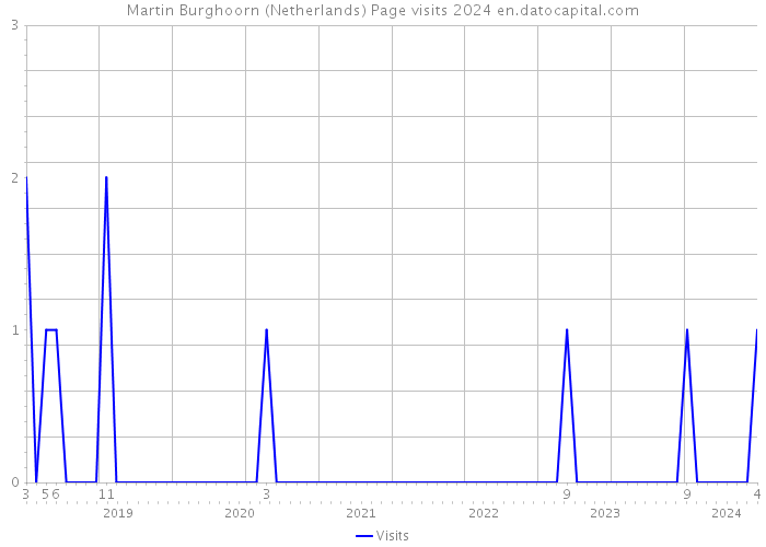 Martin Burghoorn (Netherlands) Page visits 2024 