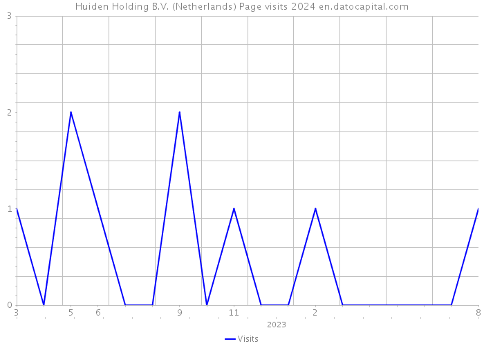 Huiden Holding B.V. (Netherlands) Page visits 2024 