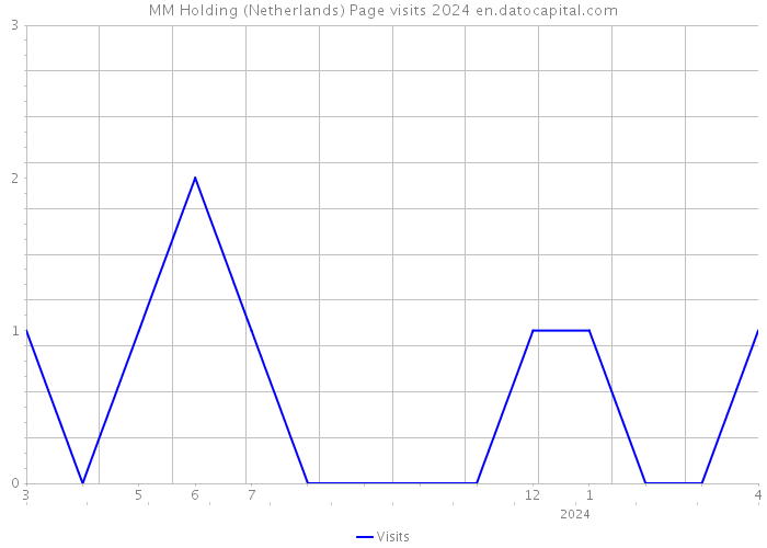 MM Holding (Netherlands) Page visits 2024 