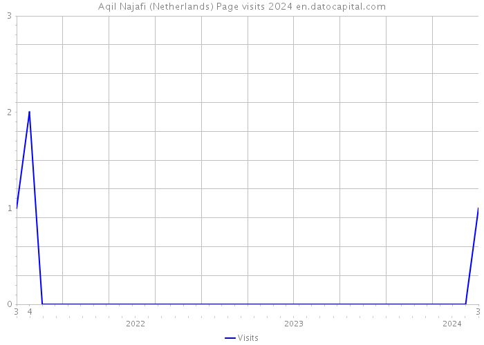 Aqil Najafi (Netherlands) Page visits 2024 