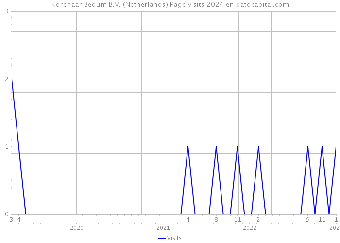 Korenaar Bedum B.V. (Netherlands) Page visits 2024 