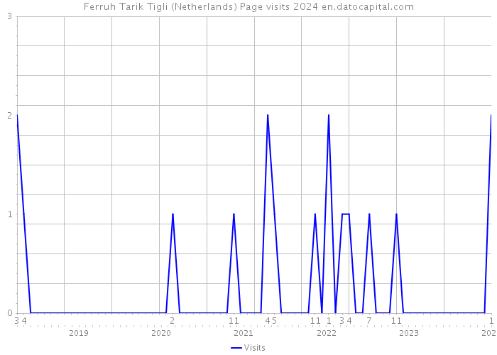 Ferruh Tarik Tigli (Netherlands) Page visits 2024 