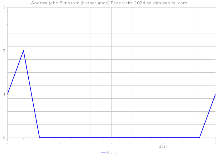 Andrew John Simpsom (Netherlands) Page visits 2024 