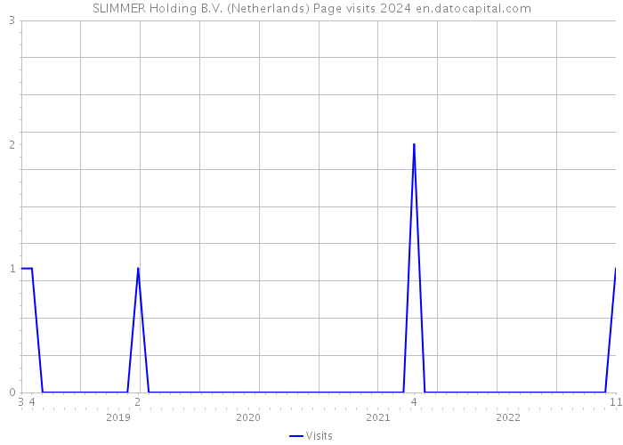 SLIMMER Holding B.V. (Netherlands) Page visits 2024 