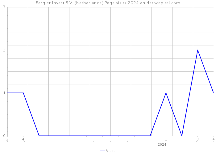 Bergler Invest B.V. (Netherlands) Page visits 2024 