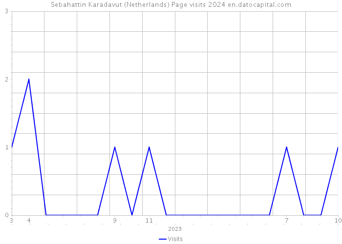 Sebahattin Karadavut (Netherlands) Page visits 2024 
