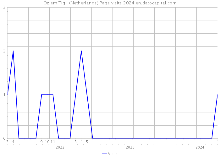 Özlem Tigli (Netherlands) Page visits 2024 