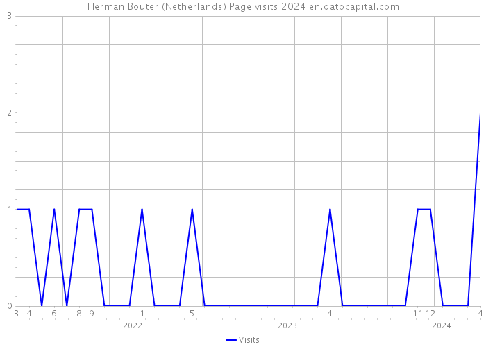 Herman Bouter (Netherlands) Page visits 2024 