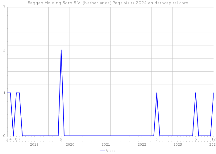 Baggen Holding Born B.V. (Netherlands) Page visits 2024 