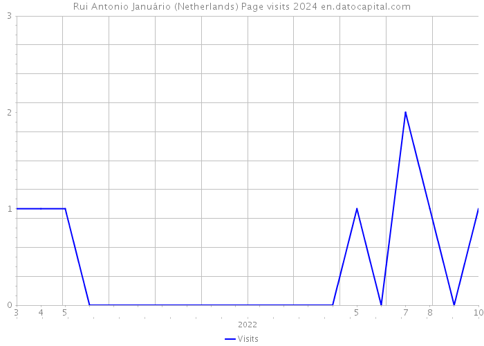 Rui Antonio Januário (Netherlands) Page visits 2024 