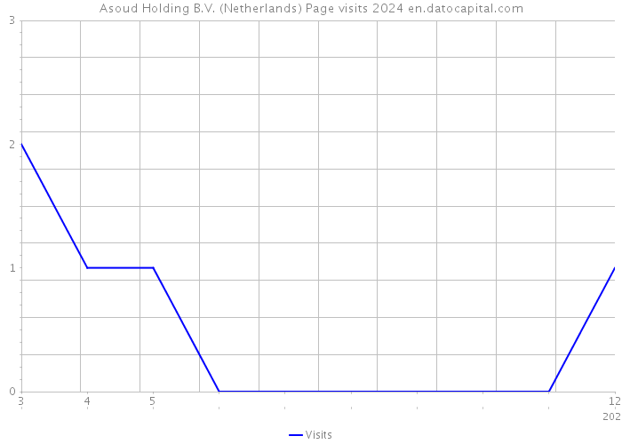 Asoud Holding B.V. (Netherlands) Page visits 2024 