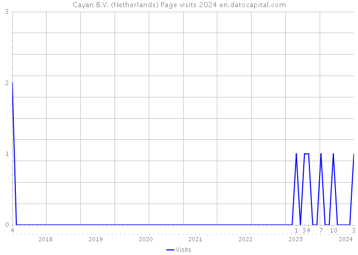 Cayan B.V. (Netherlands) Page visits 2024 