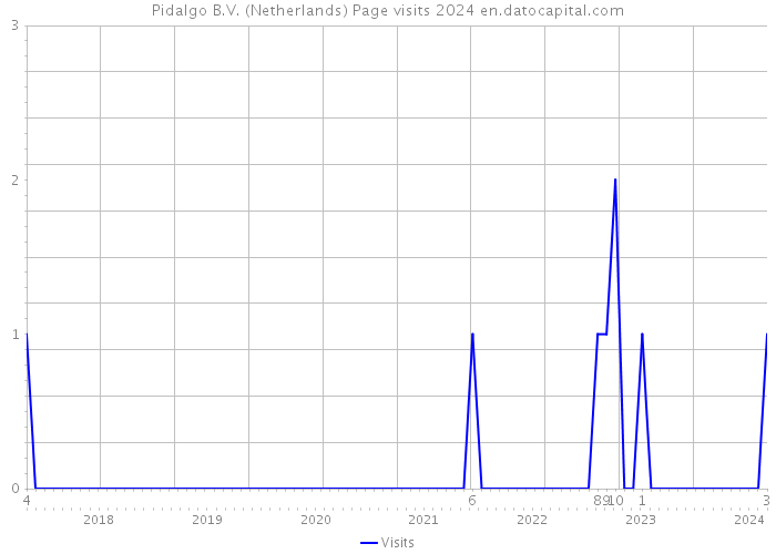 Pidalgo B.V. (Netherlands) Page visits 2024 