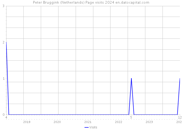 Peter Bruggink (Netherlands) Page visits 2024 