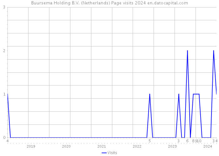 Buursema Holding B.V. (Netherlands) Page visits 2024 