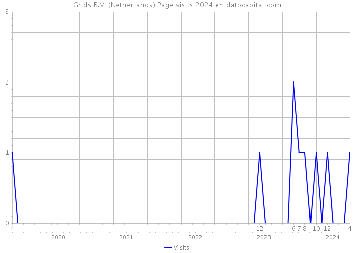 Grids B.V. (Netherlands) Page visits 2024 