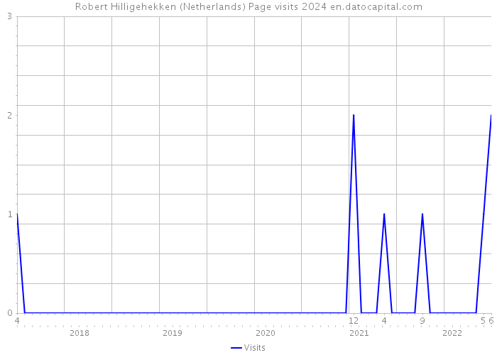 Robert Hilligehekken (Netherlands) Page visits 2024 