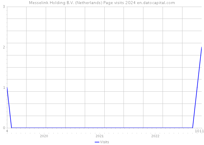 Messelink Holding B.V. (Netherlands) Page visits 2024 