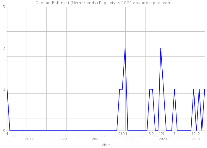 Damian Bobinski (Netherlands) Page visits 2024 