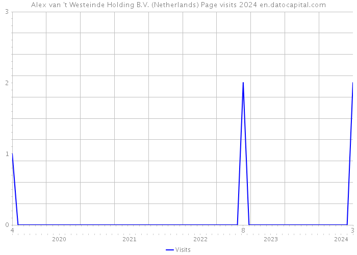 Alex van 't Westeinde Holding B.V. (Netherlands) Page visits 2024 