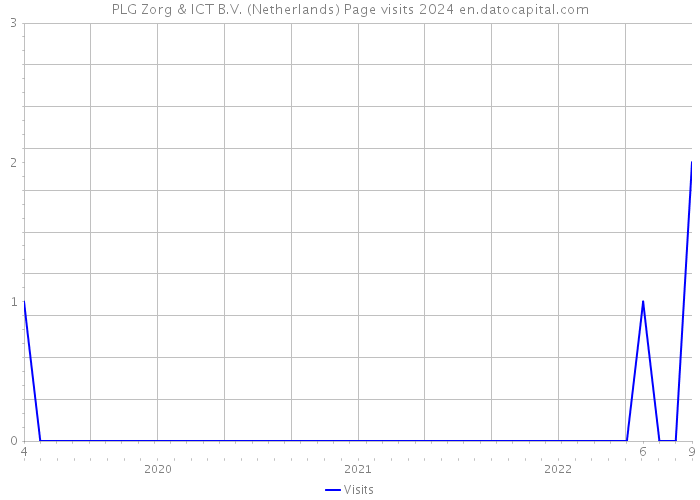 PLG Zorg & ICT B.V. (Netherlands) Page visits 2024 