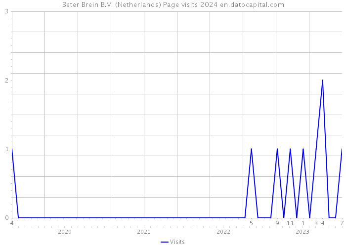 Beter Brein B.V. (Netherlands) Page visits 2024 