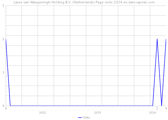 Lasse van Waegeningh Holding B.V. (Netherlands) Page visits 2024 