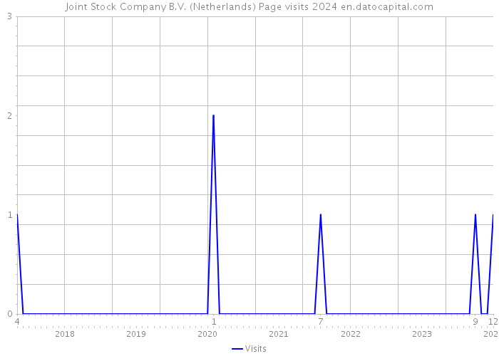 Joint Stock Company B.V. (Netherlands) Page visits 2024 