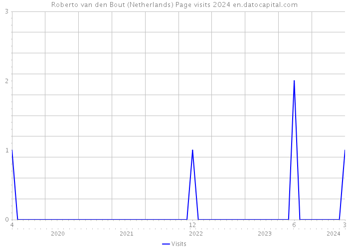 Roberto van den Bout (Netherlands) Page visits 2024 