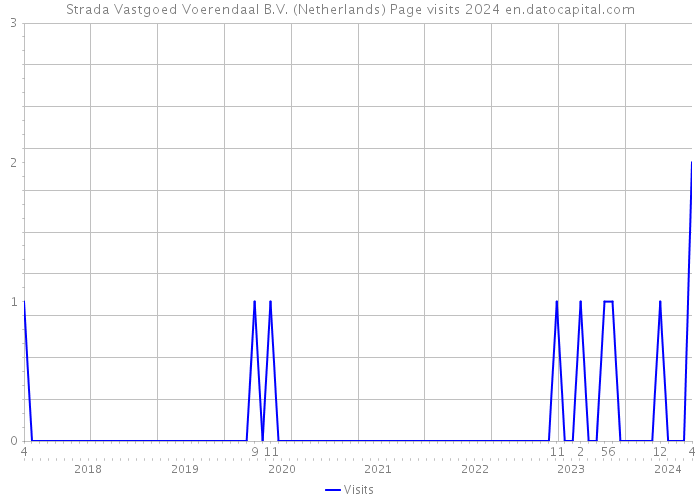 Strada Vastgoed Voerendaal B.V. (Netherlands) Page visits 2024 