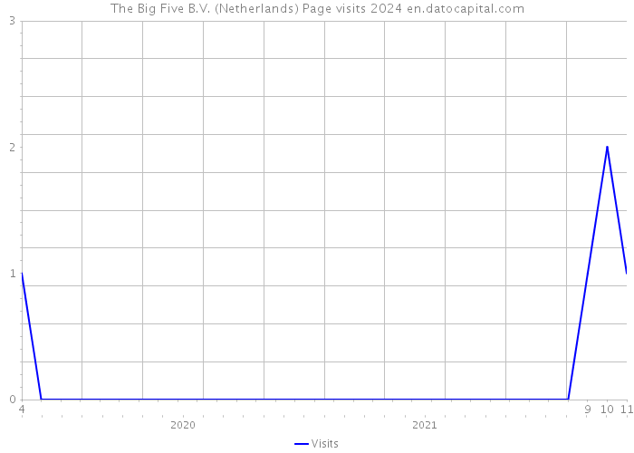 The Big Five B.V. (Netherlands) Page visits 2024 