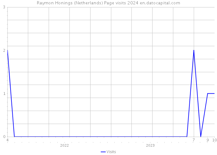 Raymon Honings (Netherlands) Page visits 2024 
