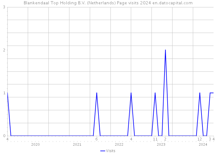 Blankendaal Top Holding B.V. (Netherlands) Page visits 2024 