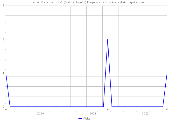 Billinger & Marsman B.V. (Netherlands) Page visits 2024 