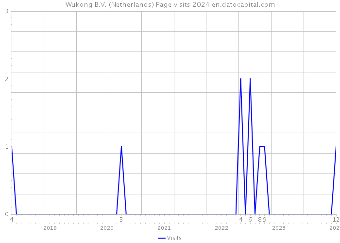 Wukong B.V. (Netherlands) Page visits 2024 