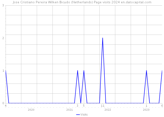 Jose Cristiano Pereira Wilken Bicudo (Netherlands) Page visits 2024 