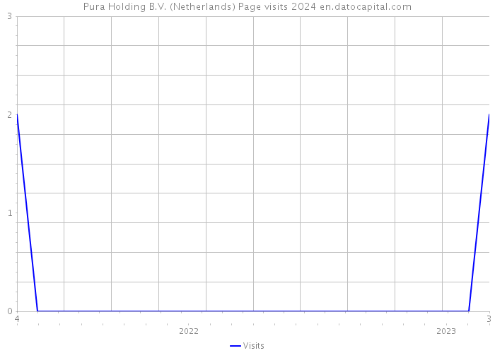 Pura Holding B.V. (Netherlands) Page visits 2024 