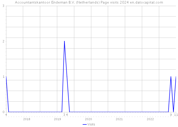 Accountantskantoor Endeman B.V. (Netherlands) Page visits 2024 