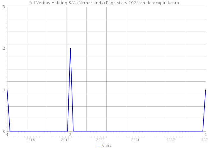 Ad Veritas Holding B.V. (Netherlands) Page visits 2024 