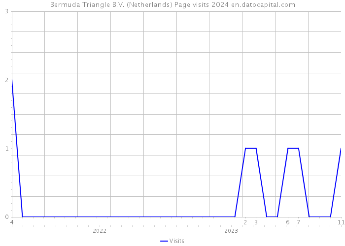 Bermuda Triangle B.V. (Netherlands) Page visits 2024 