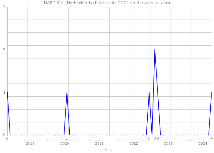 NAFT B.V. (Netherlands) Page visits 2024 
