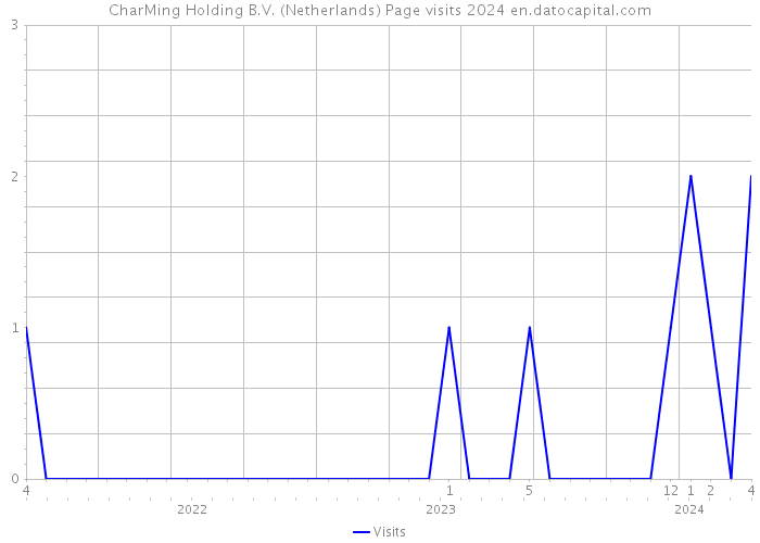 CharMing Holding B.V. (Netherlands) Page visits 2024 
