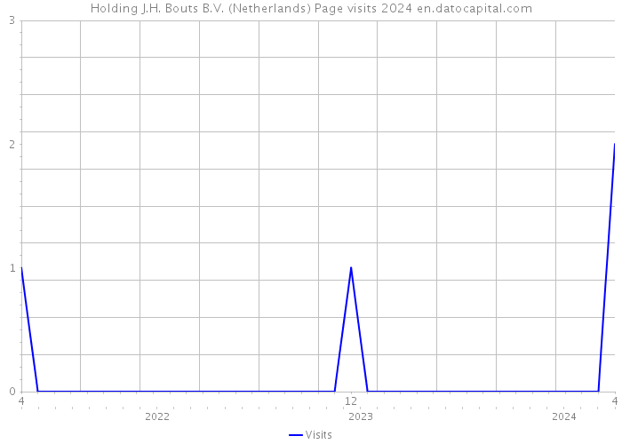 Holding J.H. Bouts B.V. (Netherlands) Page visits 2024 