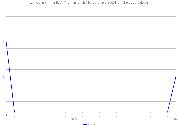 Fayr Consulting B.V. (Netherlands) Page visits 2024 
