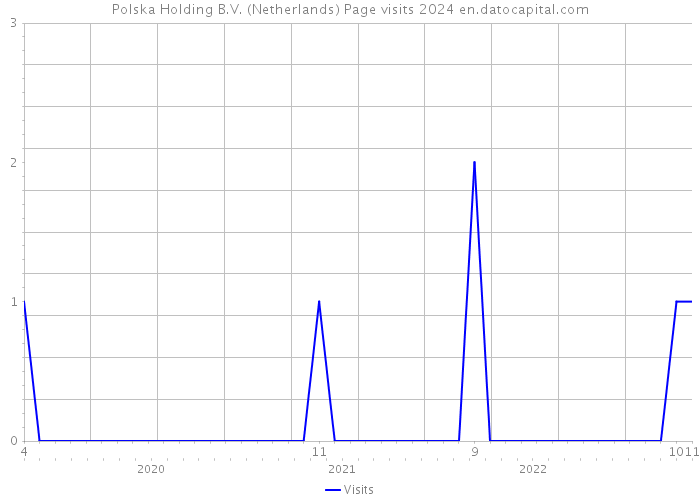 Polska Holding B.V. (Netherlands) Page visits 2024 
