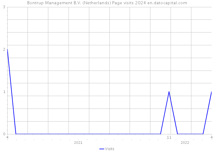 Bontrup Management B.V. (Netherlands) Page visits 2024 