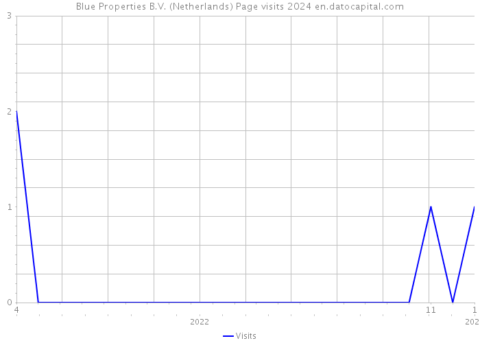 Blue Properties B.V. (Netherlands) Page visits 2024 