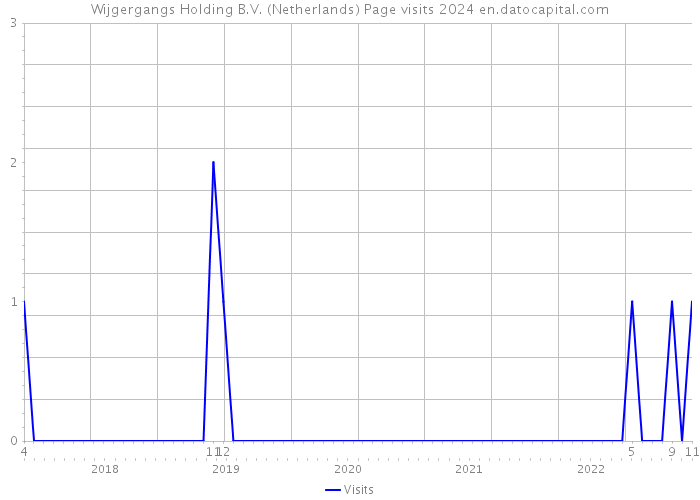 Wijgergangs Holding B.V. (Netherlands) Page visits 2024 